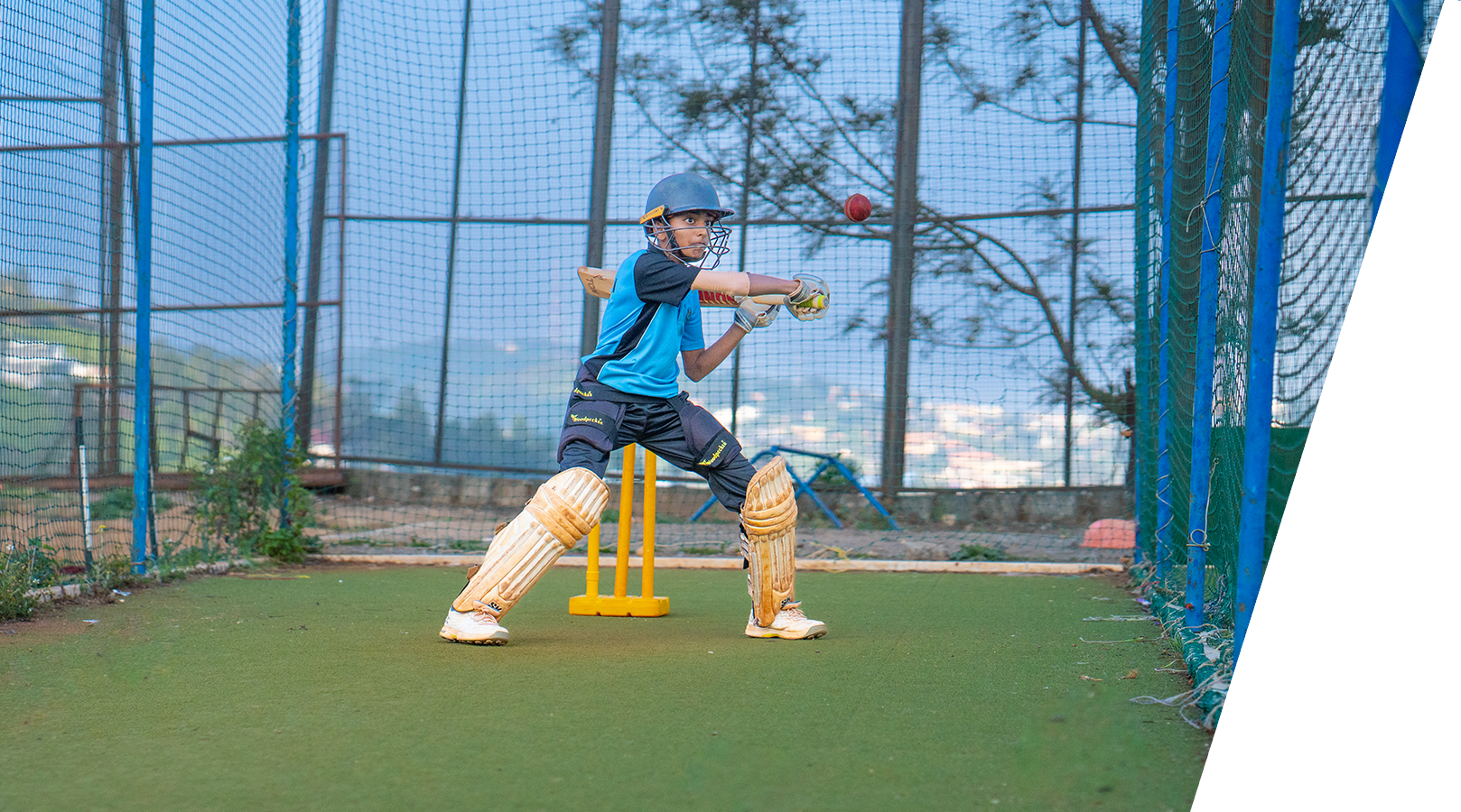 cricket img